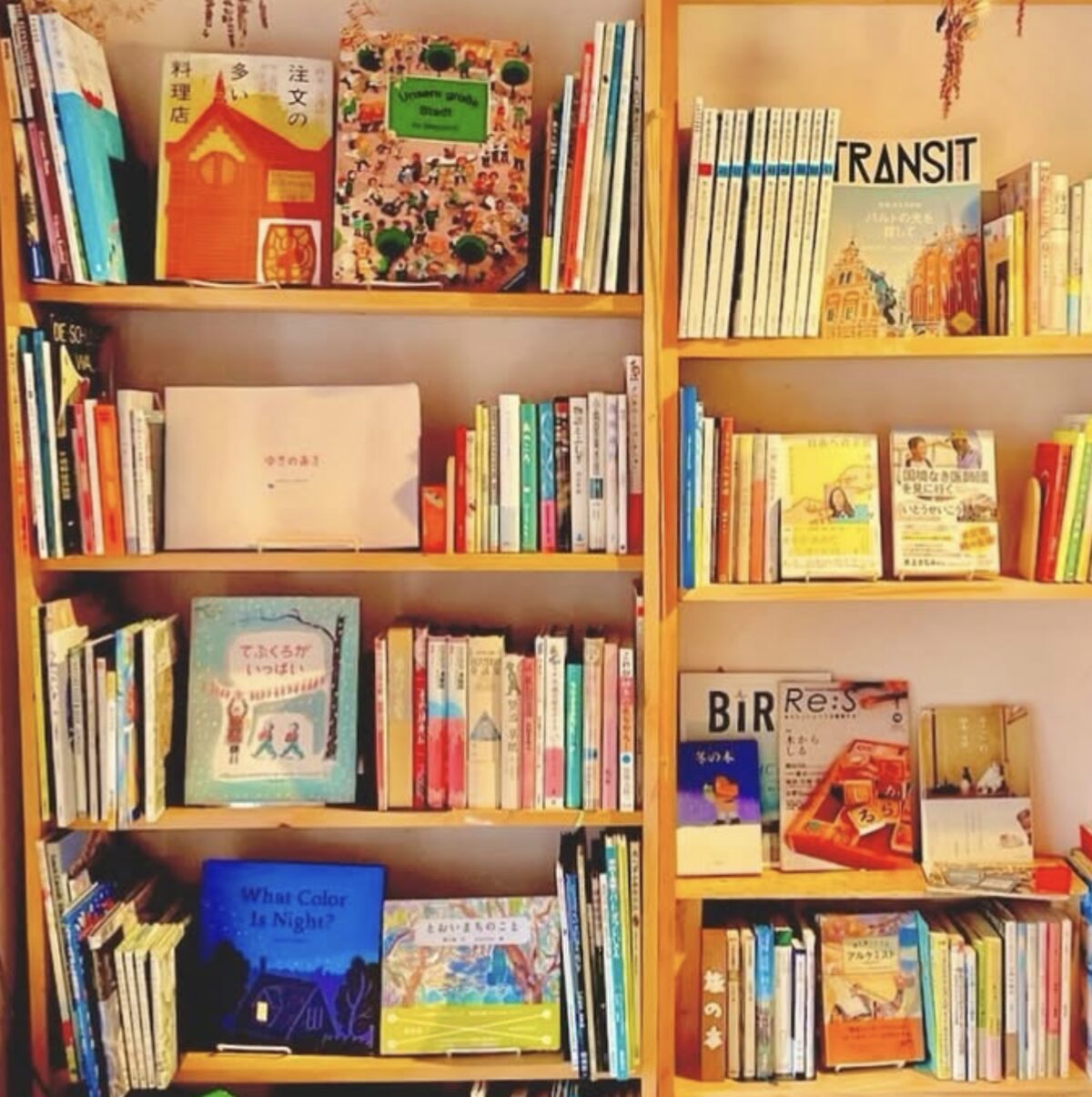 約1,500冊の蔵書が並ぶ本棚